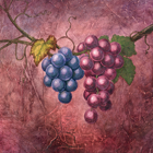 Compaq's Italian Campaign Grapes • Casein on Board